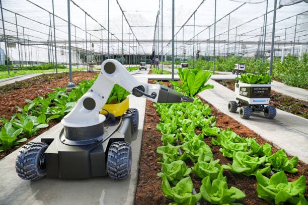 Smart Agriculture